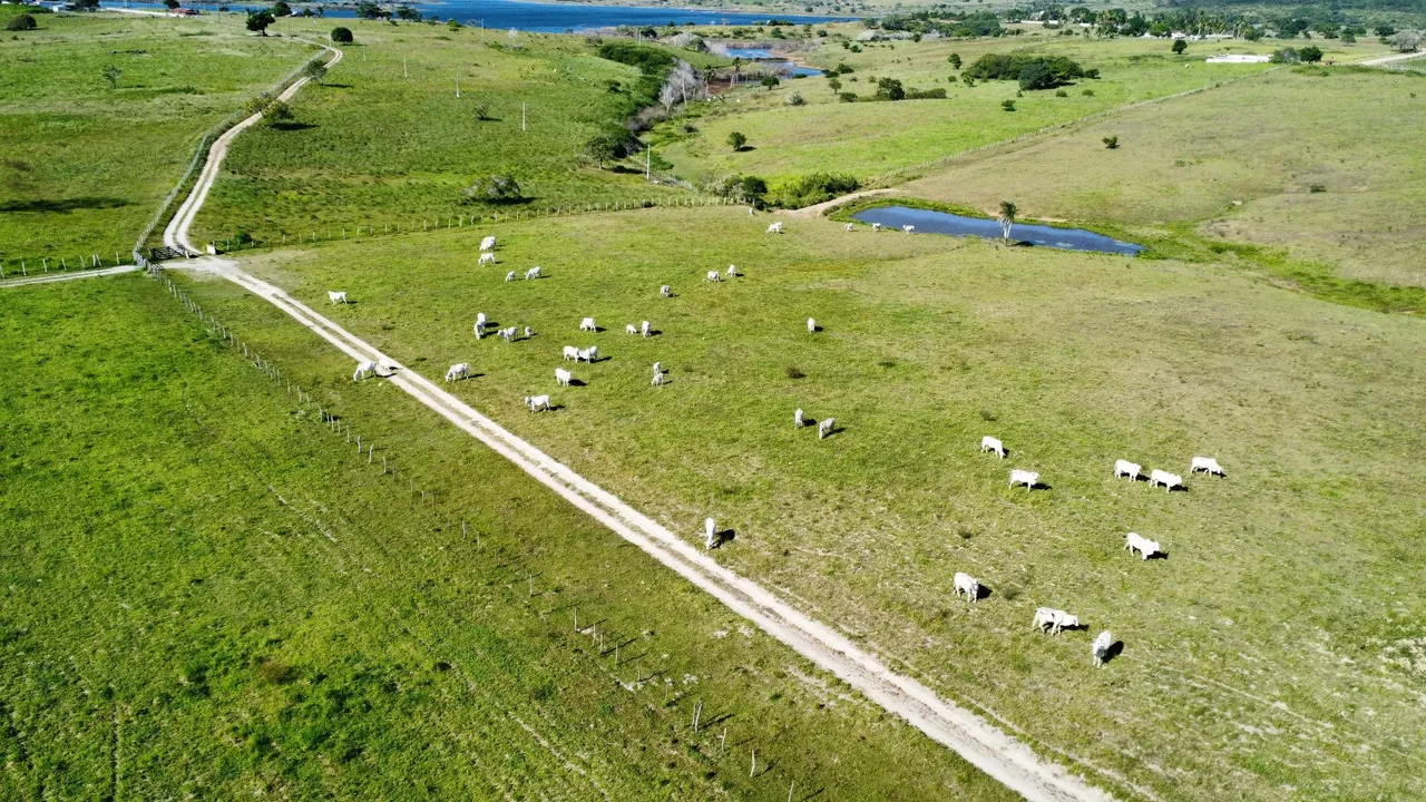 Fazenda com 150 hectares estrutura na região de Macaiba