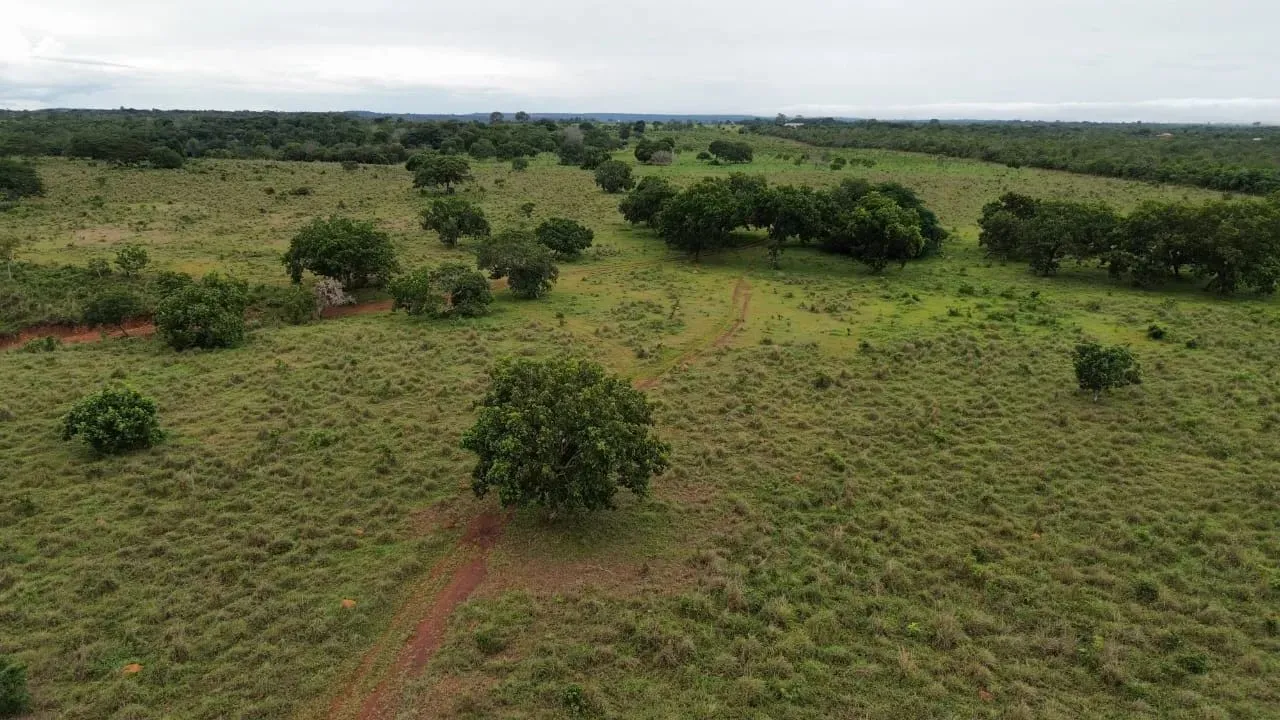 Fazenda para venda a 50 km da Capital Palmas - TO