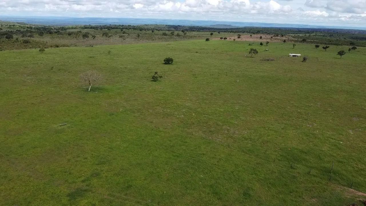 Fazenda 340 hect a 70 km de Rondonópolis MT. 13 milhões. - Foto 5
