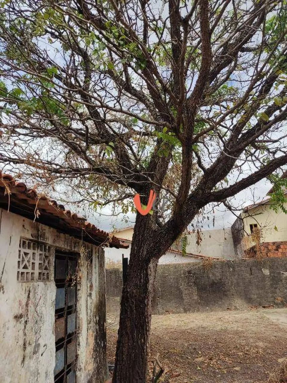Terreno no Jardim das Oliveiras - Fortaleza/CE - Foto 3