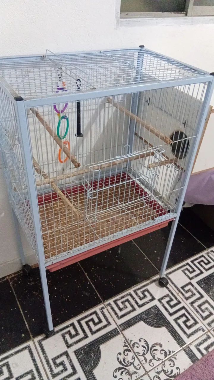 Gaiola grande - Foto 2