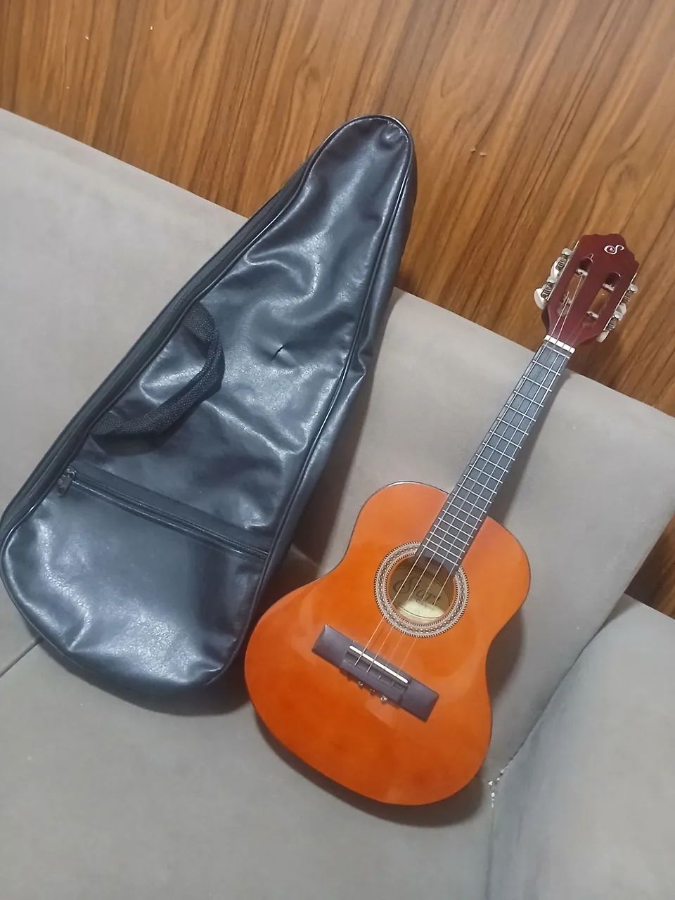 Cavaquinho Giannini 