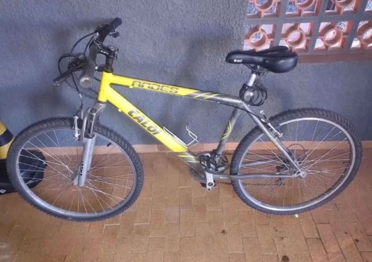 Bicicleta 