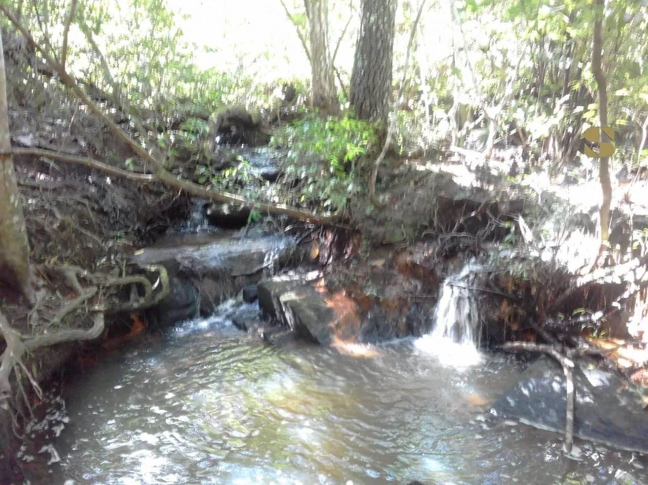 Fazenda em Poconé - Área Rural - Foto 3