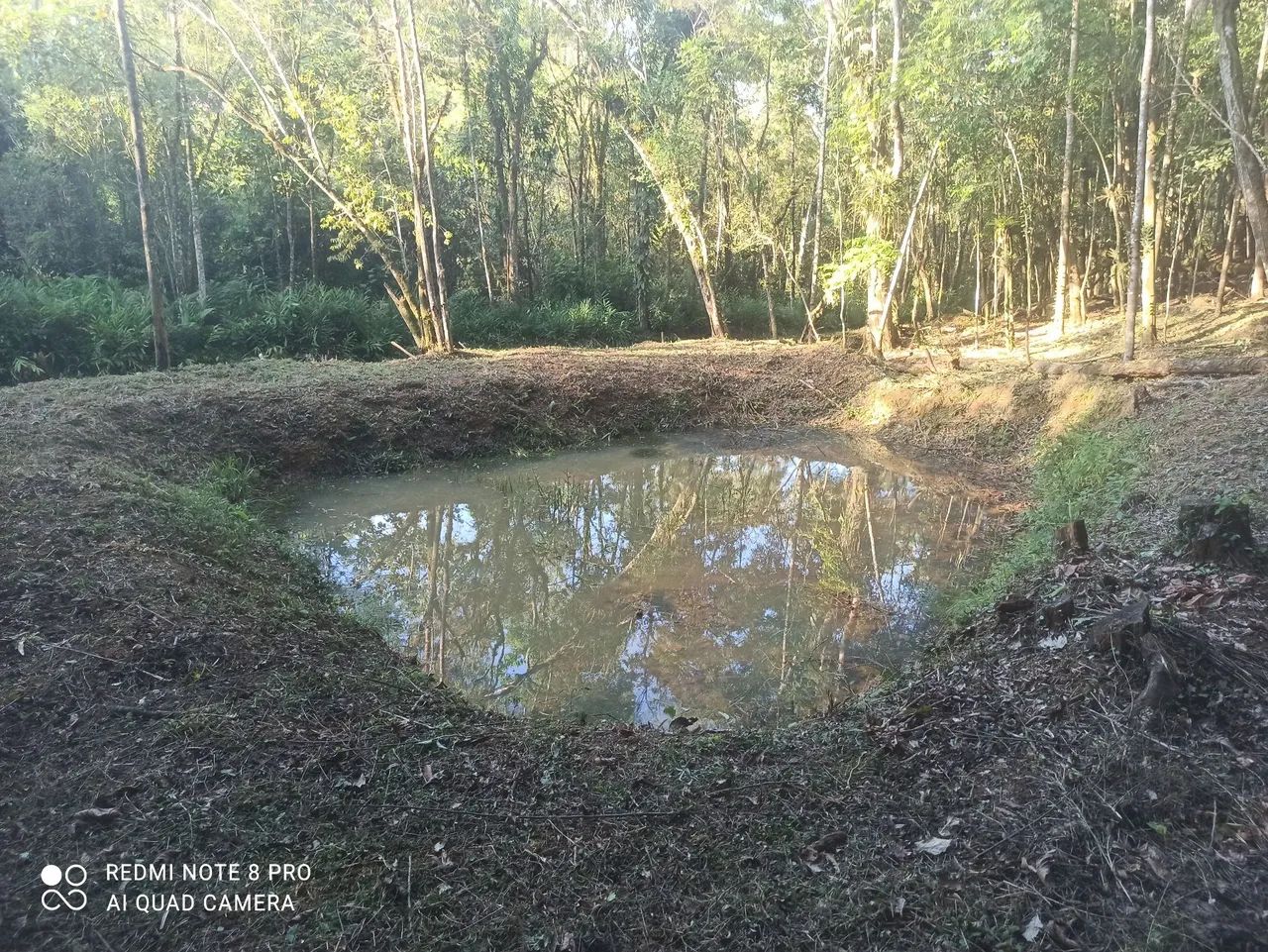  chácara em Antonina  - Foto 2