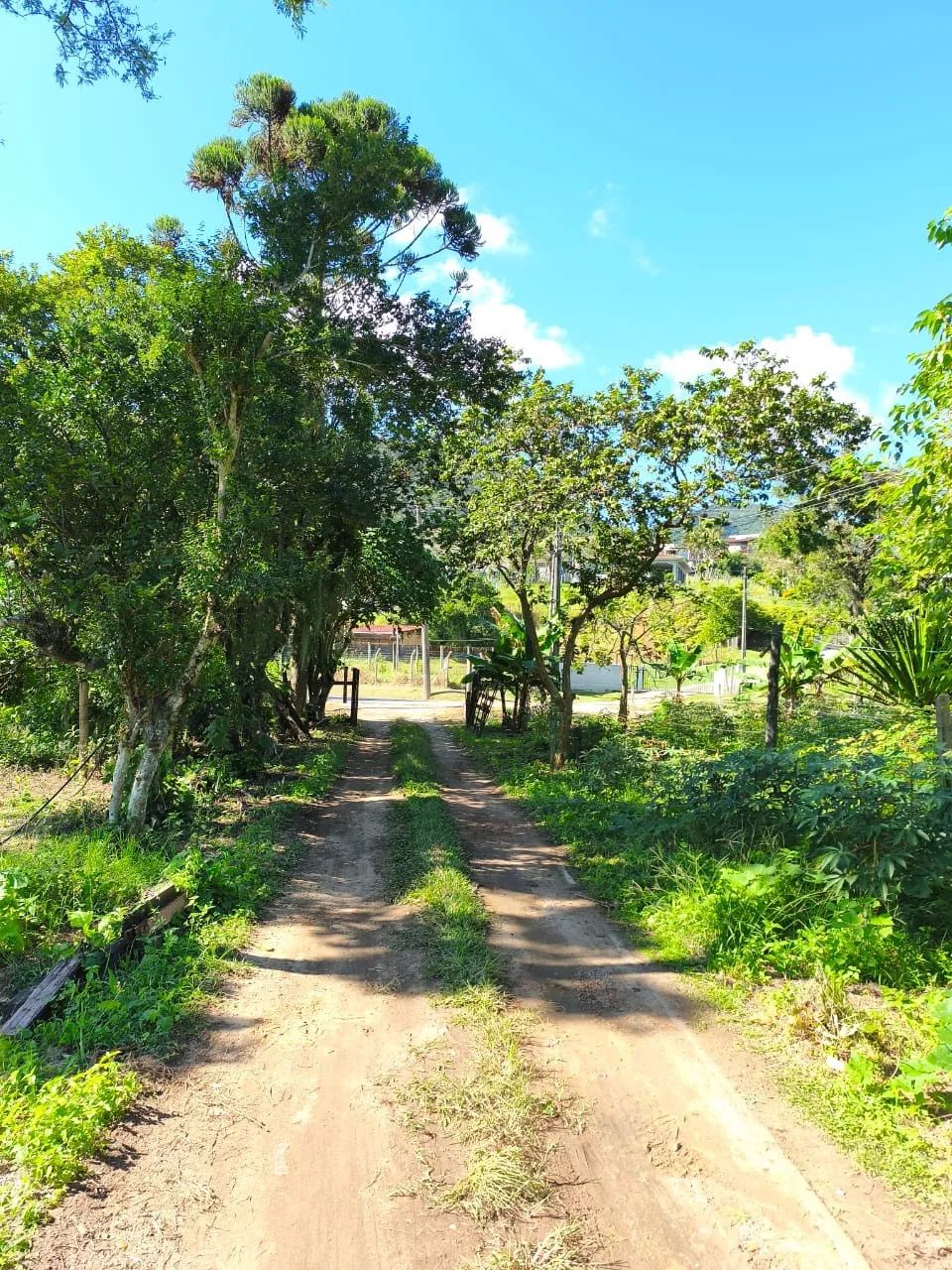 Terreno de Grande Porte com Viabilidade Residencial e Comercial