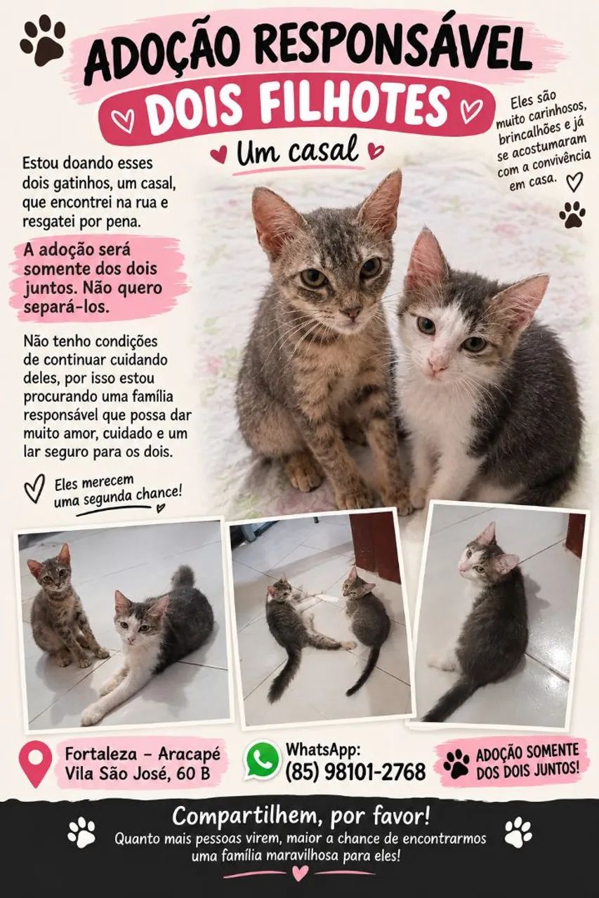 Adoção 