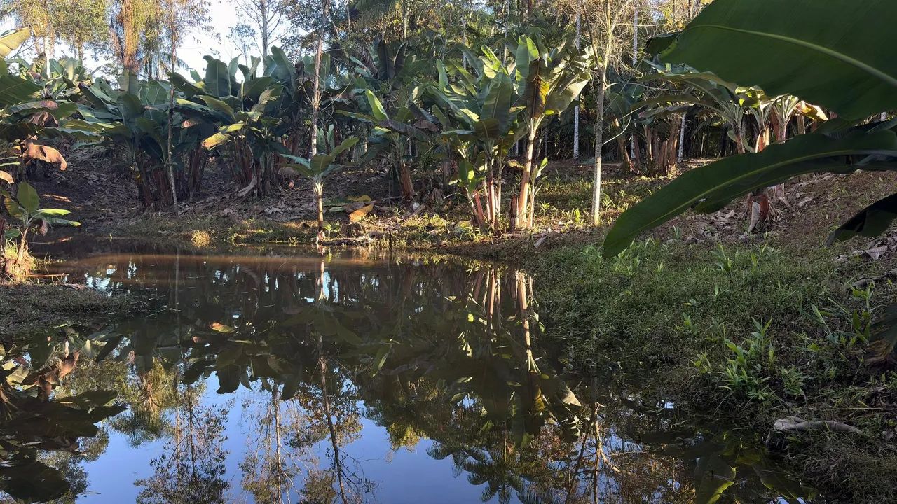 Foto - Santo Amaro da Imperatriz - 