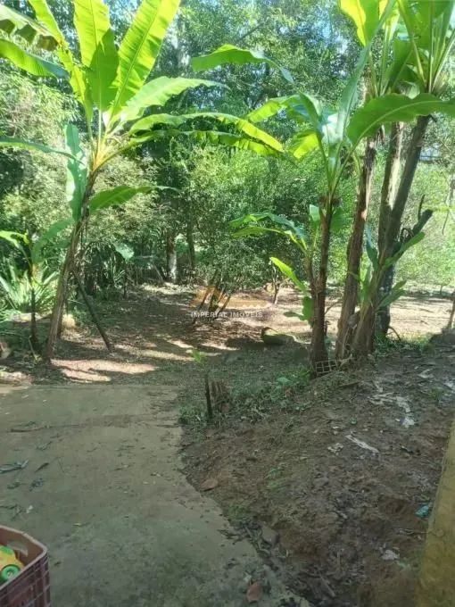 À VENDA I0223 - CHÁCARA 2 DORMITÓRIOS NO PEGORELLI - CARAGUATATUBA/SP - Foto 5