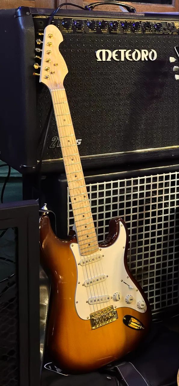 Guitarra Michael Stratocaster GMS425 