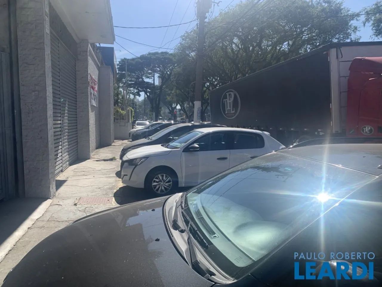GALPÃO - LIMÃO - SP - Foto 3