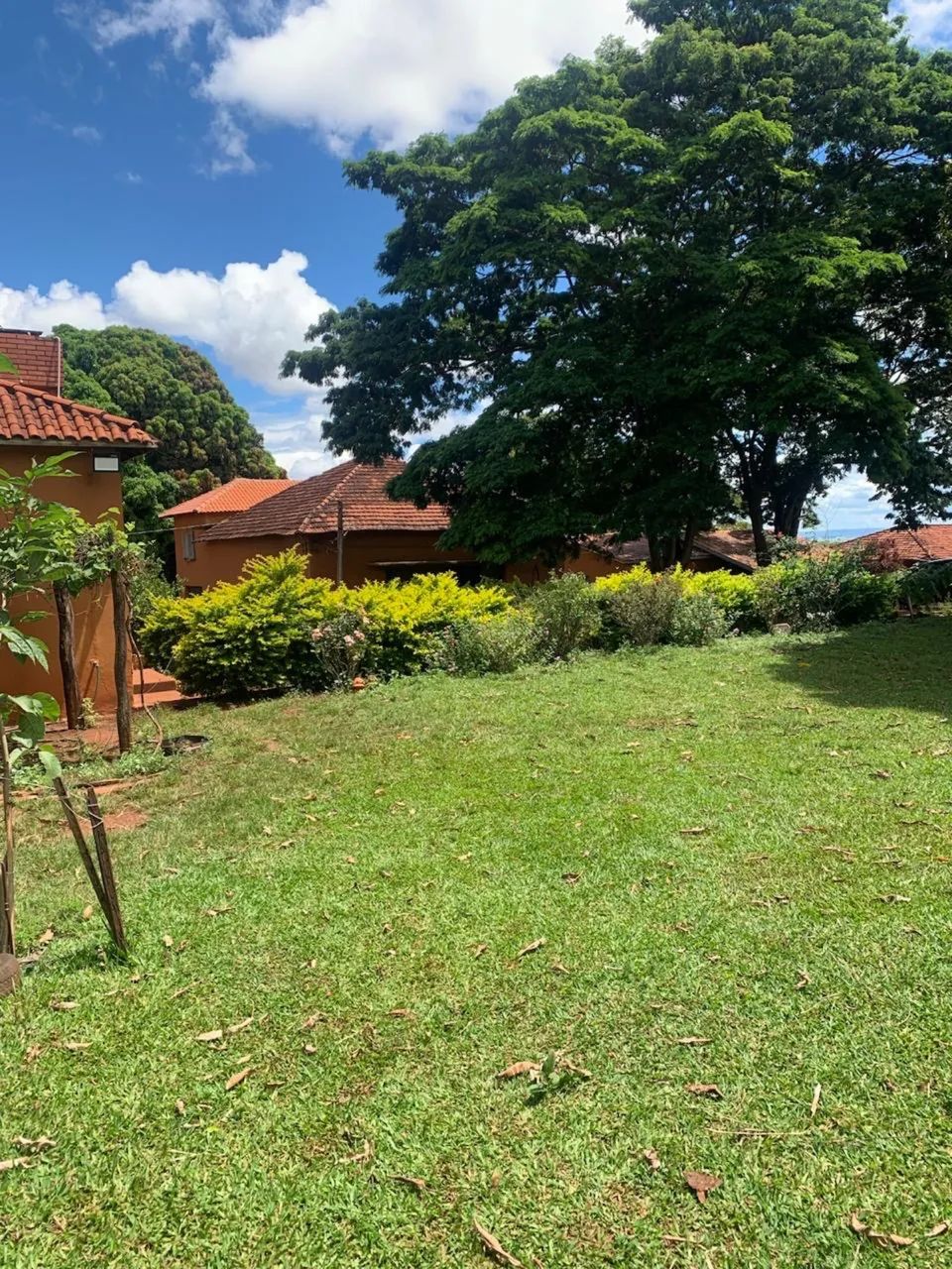 Fazenda dupla aptidão região monte alegre  - Foto 5