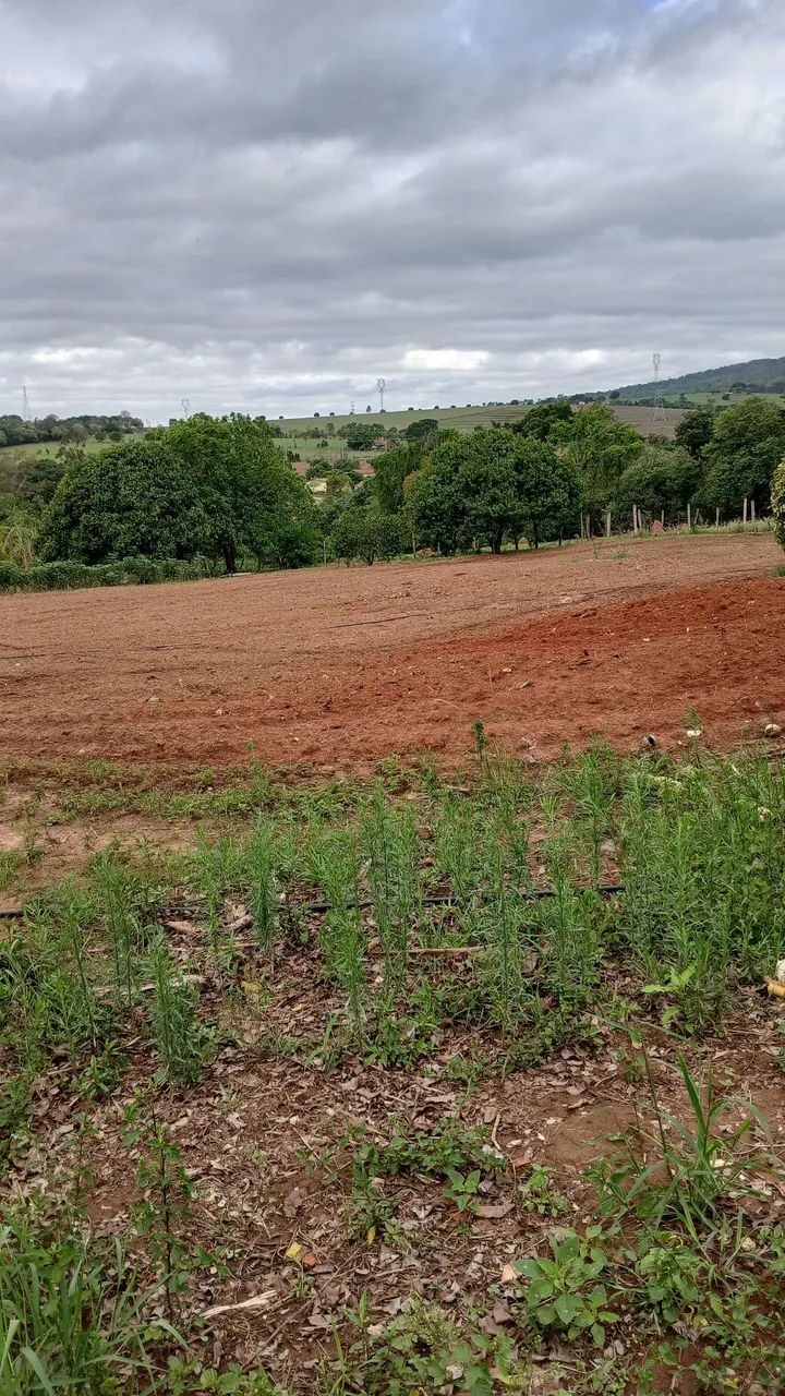 Lote para Chácara  - Foto 4