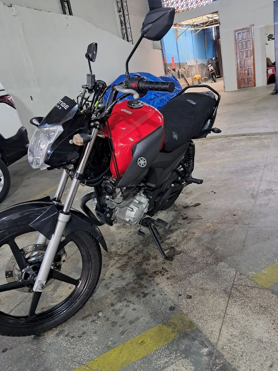 Factor 150 2019