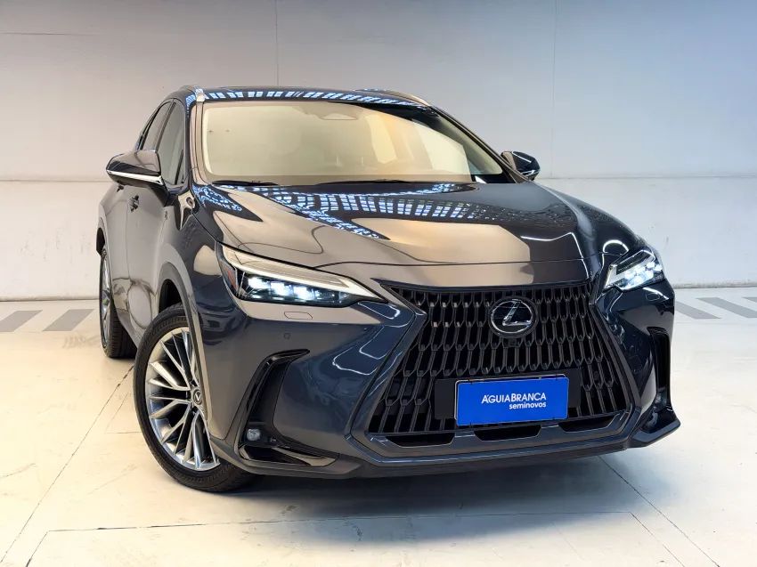 Lexus NX-350h Luxury 2.5 16V Aut. (hybrid), foto 5 de 19