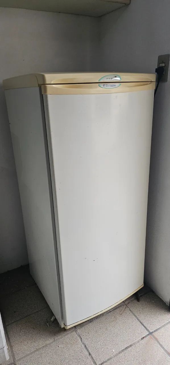 Freezer Eletrolux F-170 - Foto 4