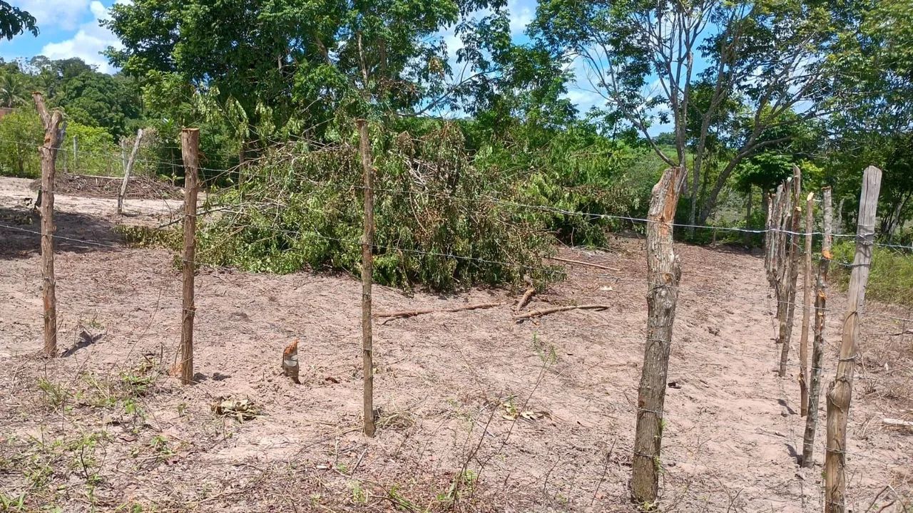 Vendo terreno 