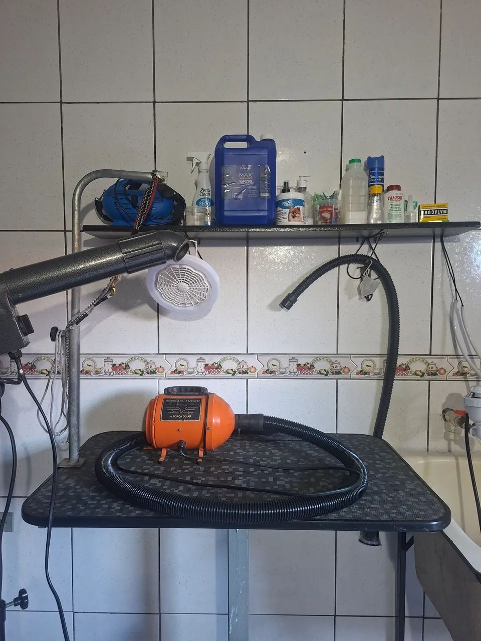 Hospedagem domiciliar para Pets - Foto 4