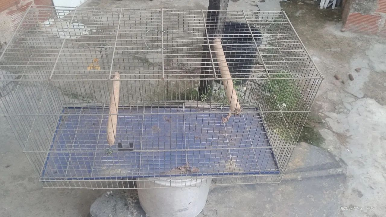 Gaiola Viveiro 