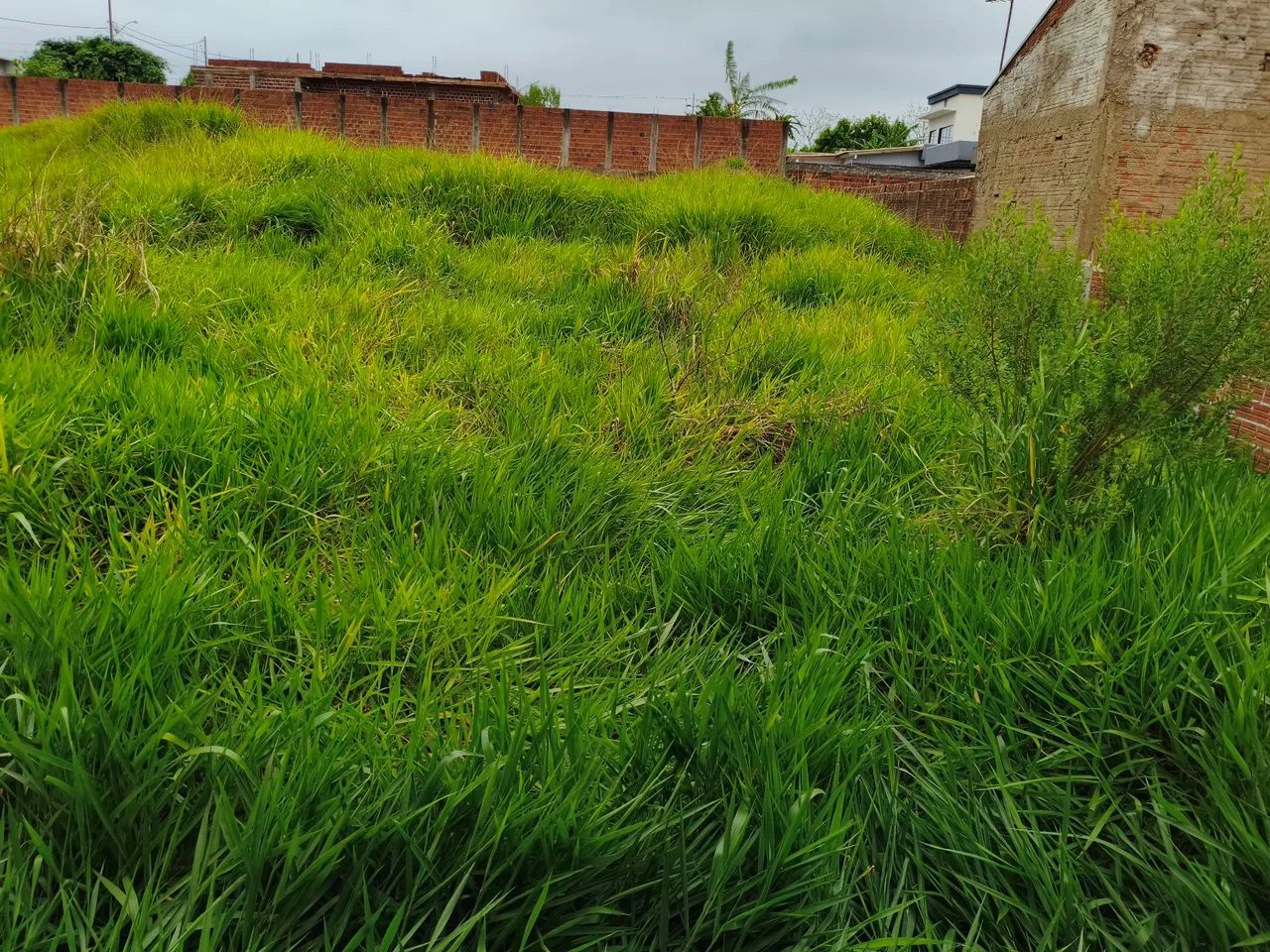 Terreno no belas artes , Cianorte PR - Foto 4