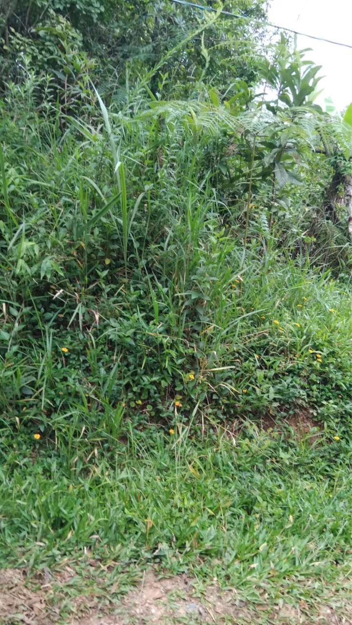 Terreno em Juquitiba  - Foto 2