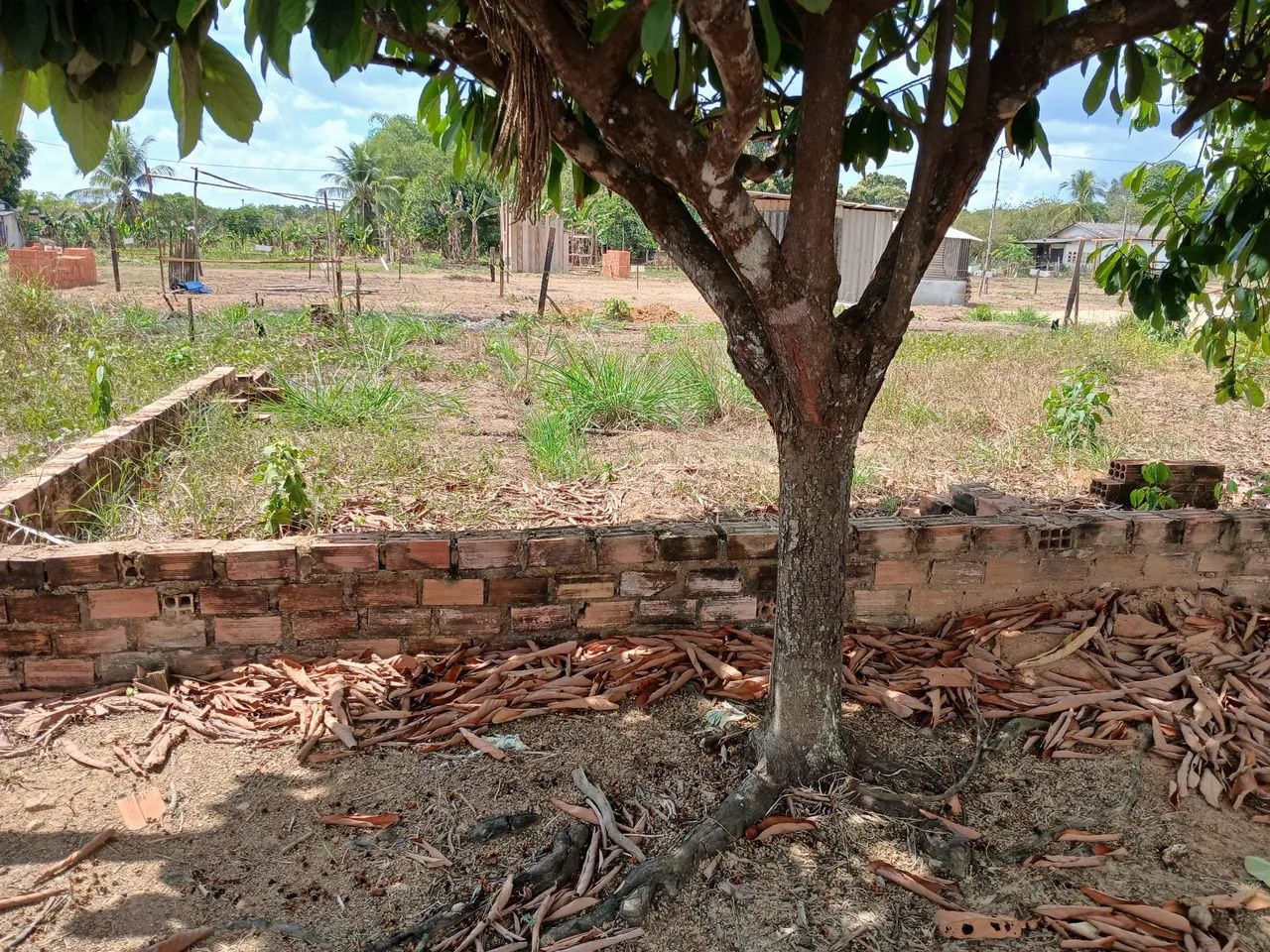 Terreno 