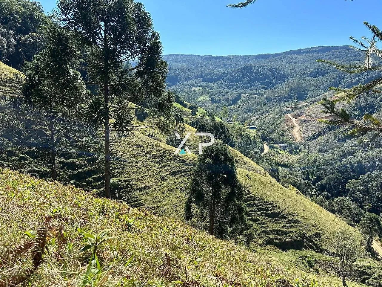 Sítio de 3 hectares em Anitápolis com escritura - Foto 5