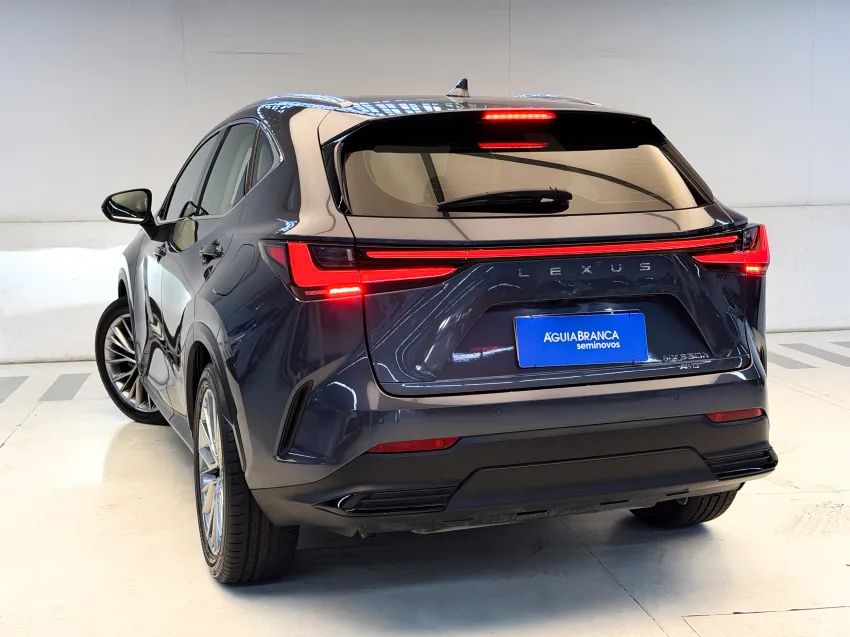 Lexus NX-350h Luxury 2.5 16V Aut. (hybrid), foto 7 de 19