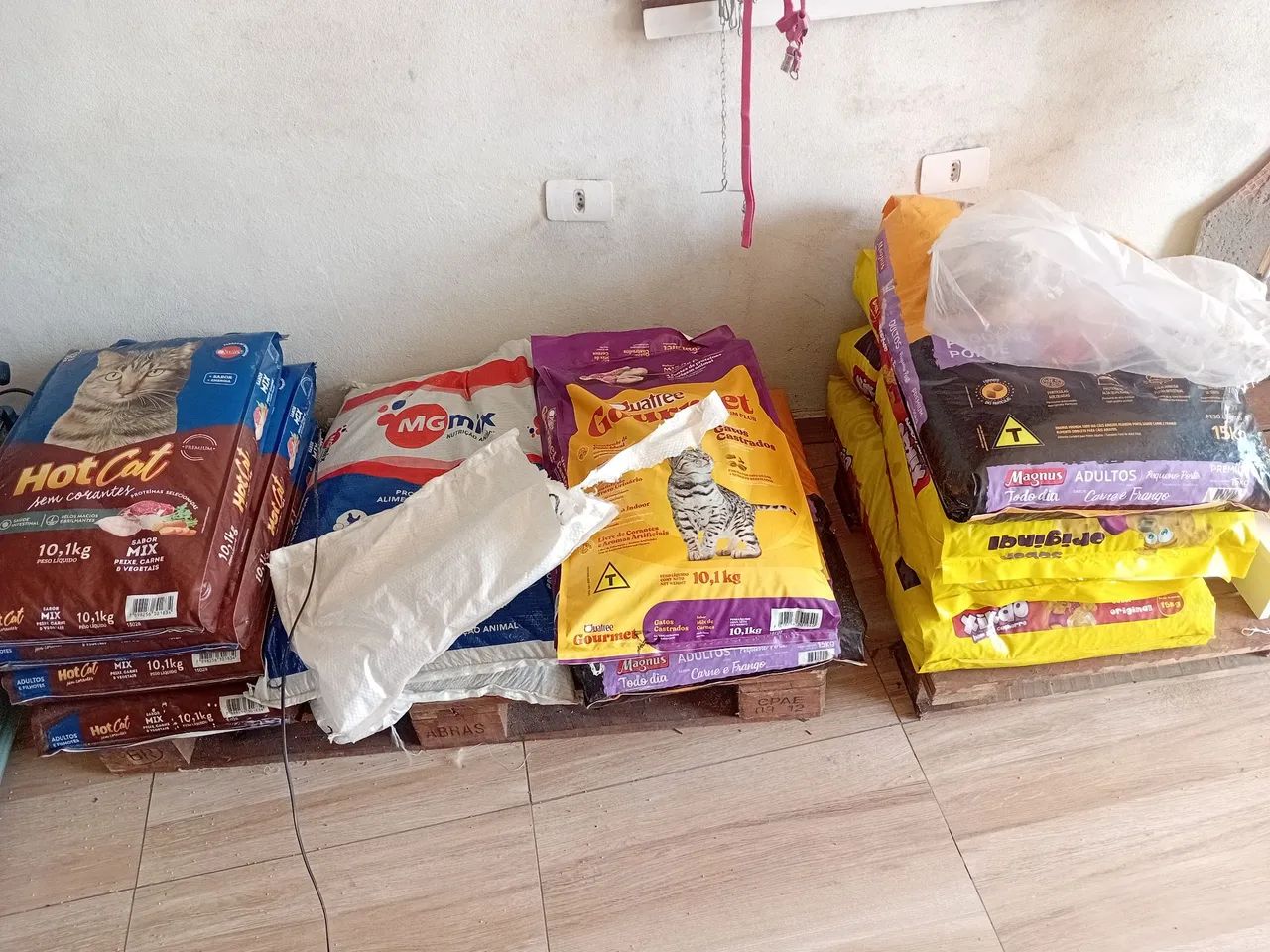 Fundo Loja de ração Pet - Foto 4
