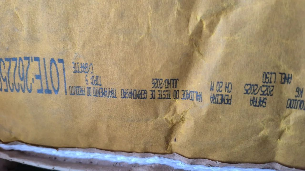 Semente de milho - Foto 4