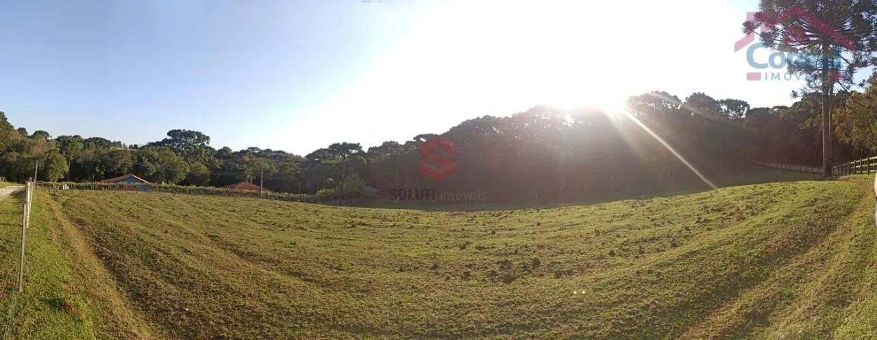 Chácara á venda em Balsa Nova - Rodeiro Chapada! - Foto 4