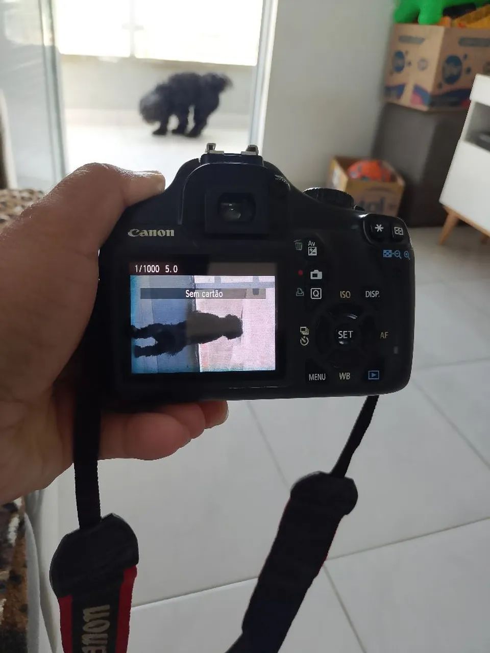 Câmera Canon t3  - Foto 3