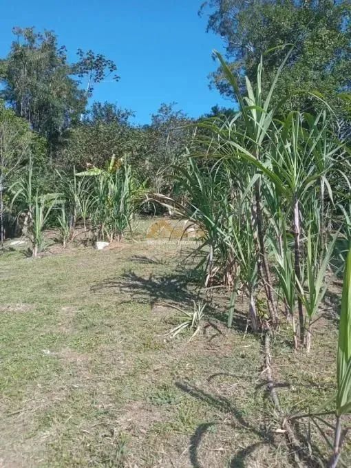 À VENDA I0223 - CHÁCARA 2 DORMITÓRIOS NO PEGORELLI - CARAGUATATUBA/SP - Foto 3