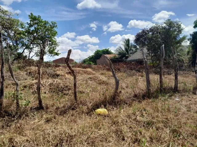 Vendo Terreno em Barreirinhas- MA - Foto 2