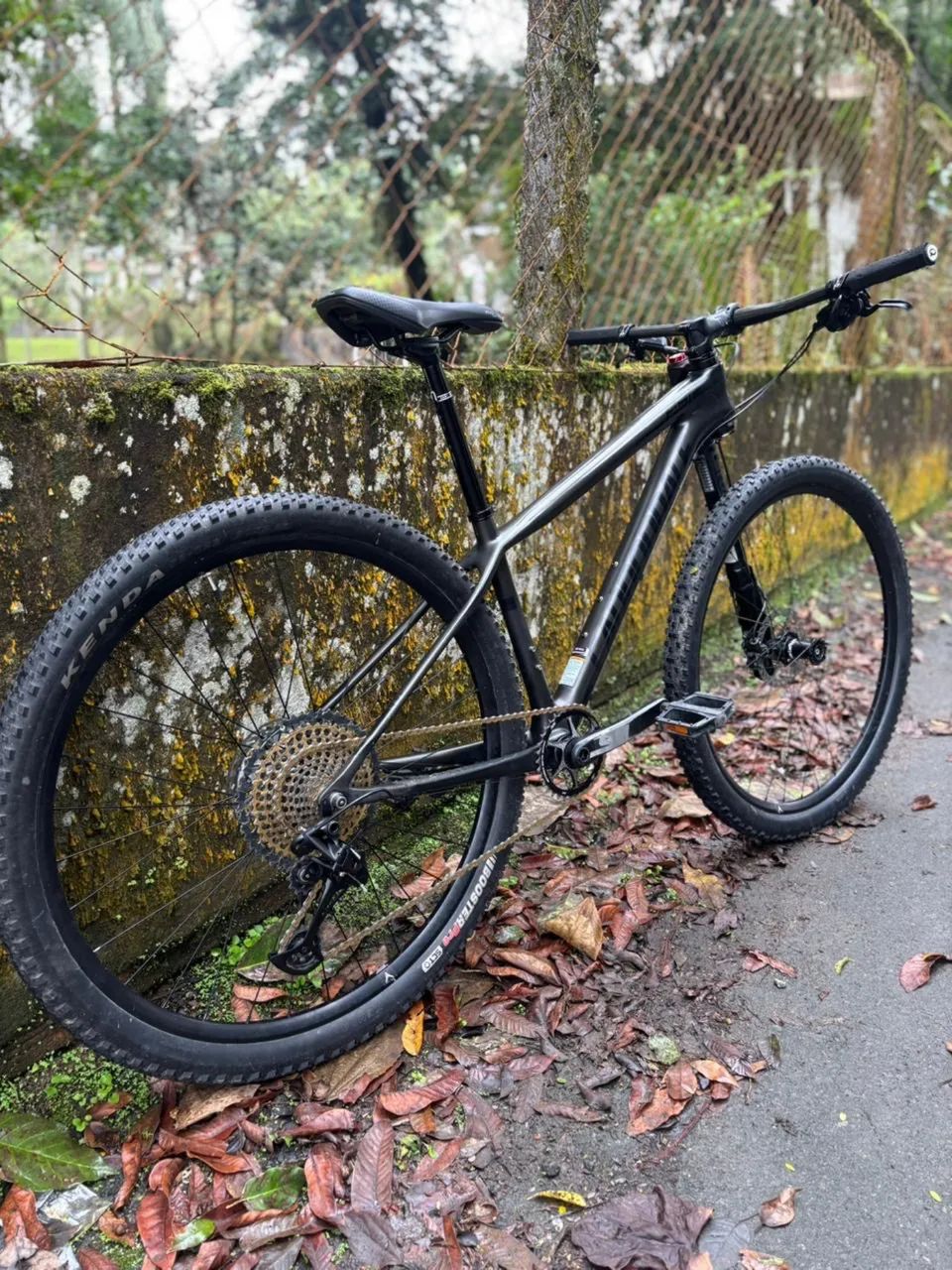 Cannondale carbono  - Foto 2