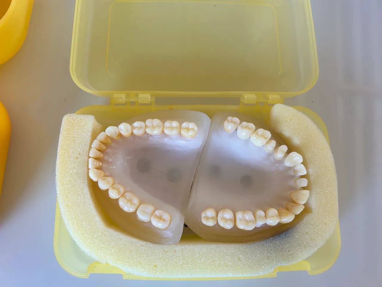 2 Manequim odontologia Pronew (usado) - Foto 3