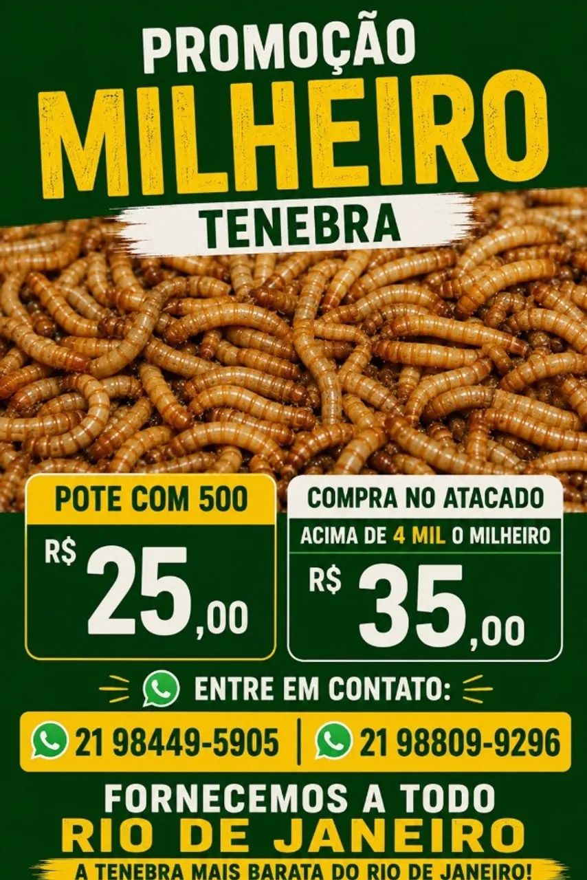 Promoção de tenebra molitor e gigante! Entregamos a todo Rio de Janeiro!