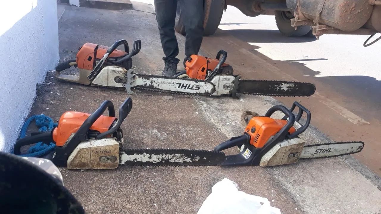 Cortes e podas de árvores de todos os tamanhos  - Foto 3