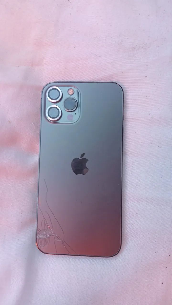 iPhone 12 Pro Max 