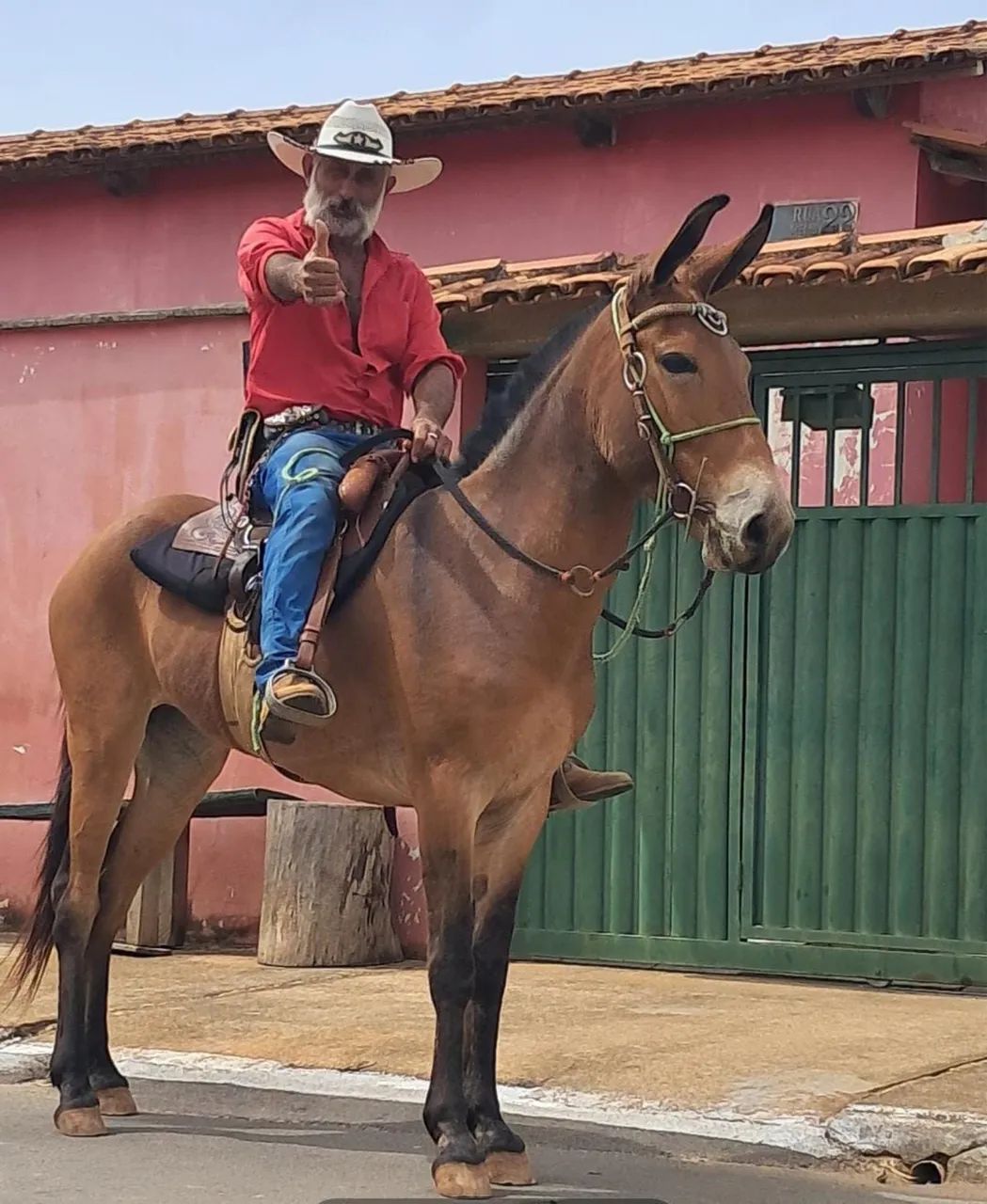 Mulona top  - Foto 2