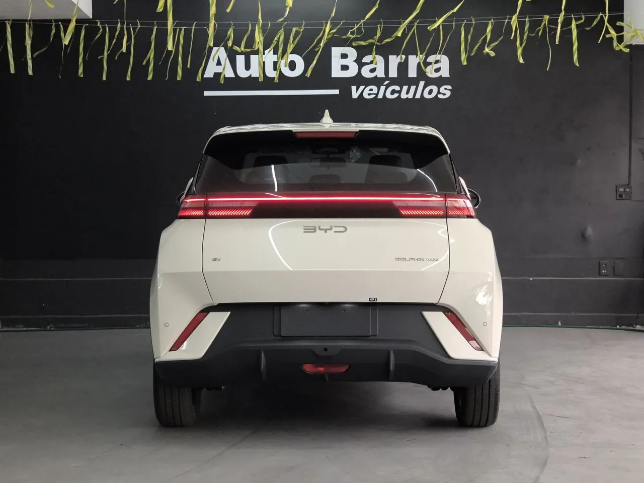 BYD Dolphin Mini (Elétrico) 2027 - Foto 5