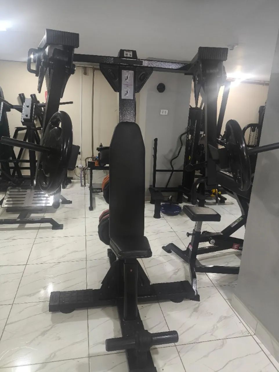 Voador physicus  - Foto 3