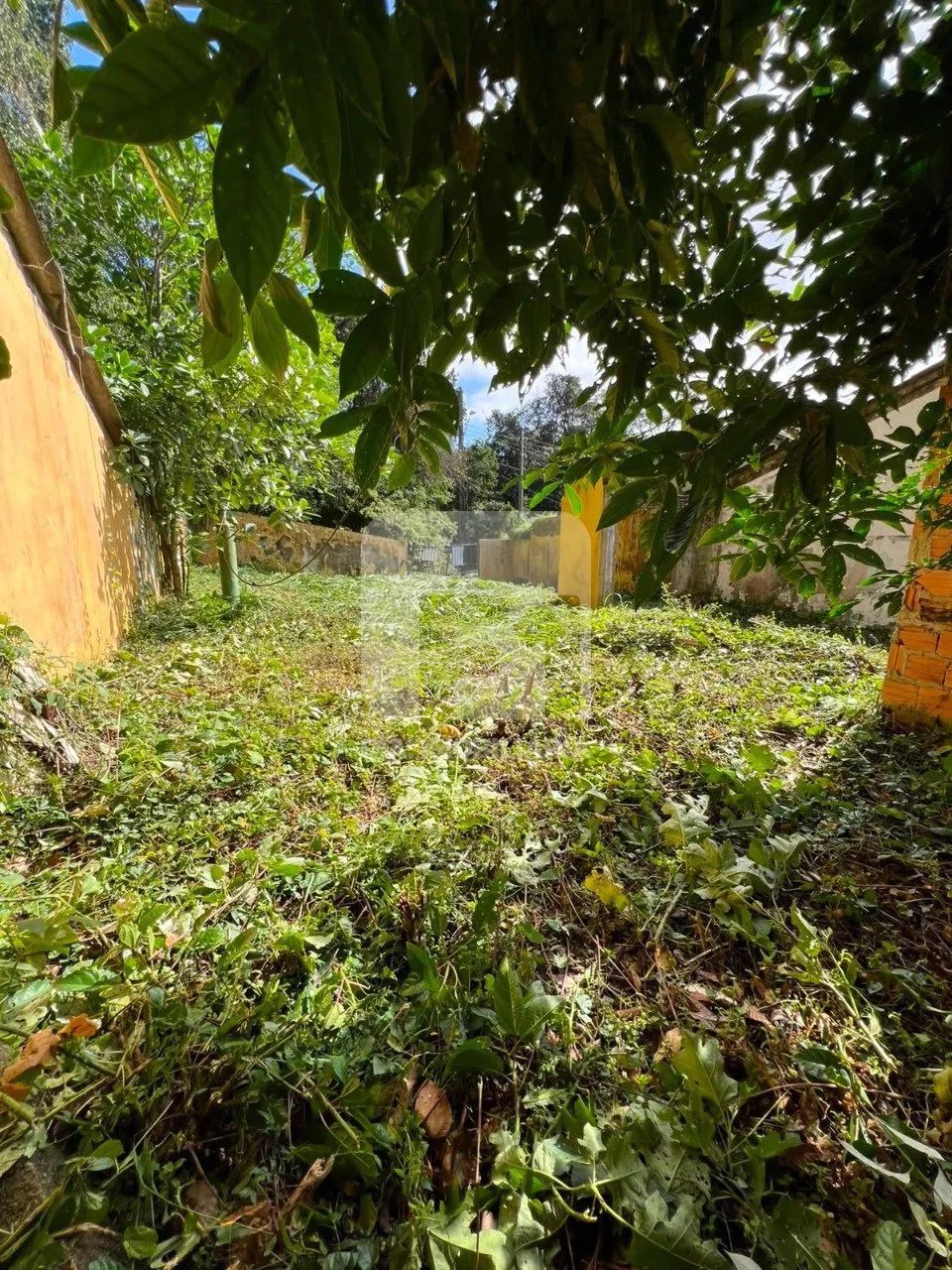 Terreno à venda no Rio Tavares