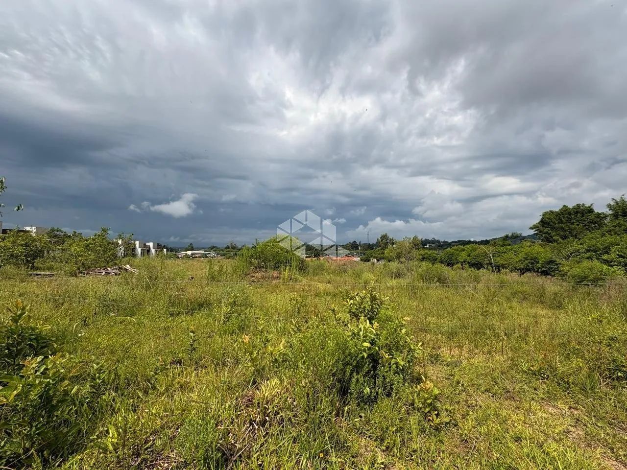 Terreno com 2390m² de área Bairro Diácono João Luiz Pozzobon - Foto 2
