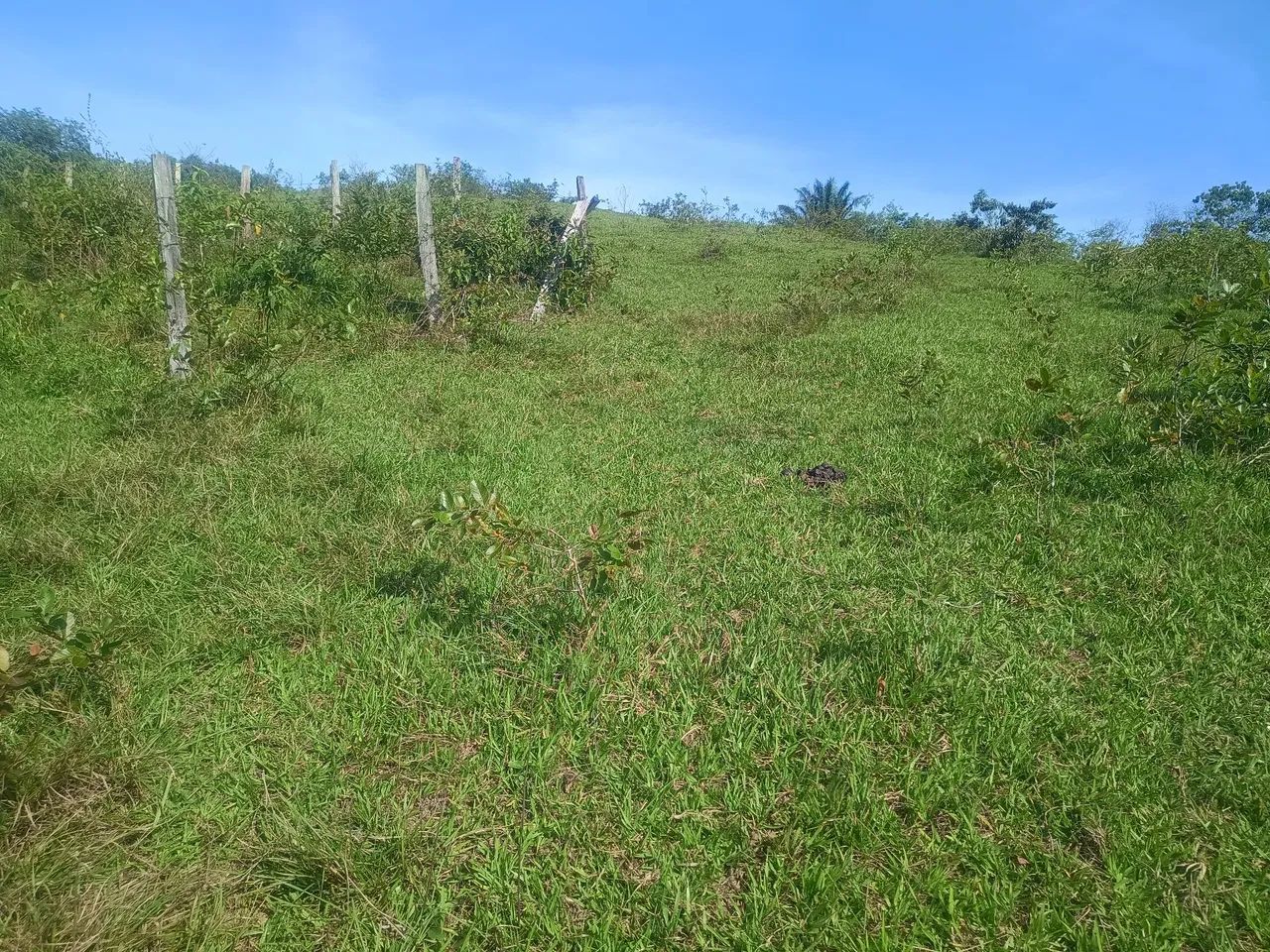 TERRENO 17.760 M2 - Foto 3
