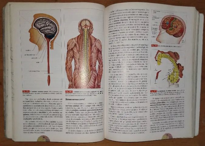Livro Biologia - Volume Único - 9ª ed. revista e atualizada - Scipione - Foto 2