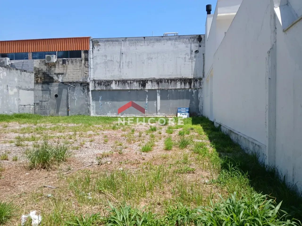 Lote em Rua Procópio Manoel Pires - Trindade - Florianópolis/SC - Foto 4