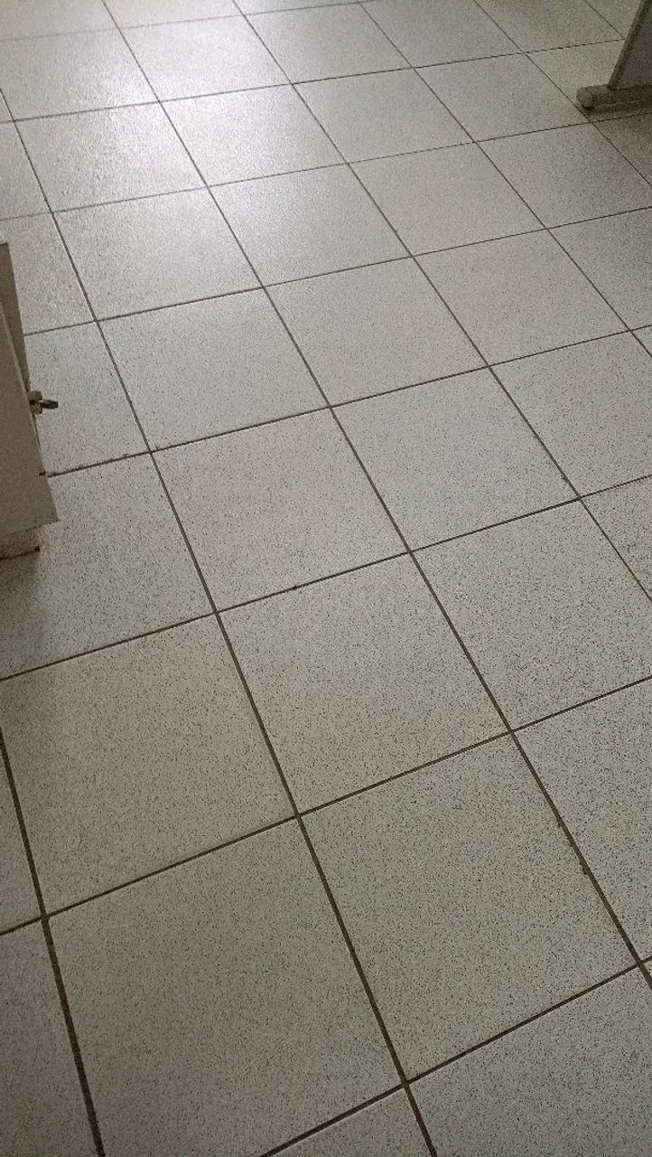 Sou diariarista - Foto 5