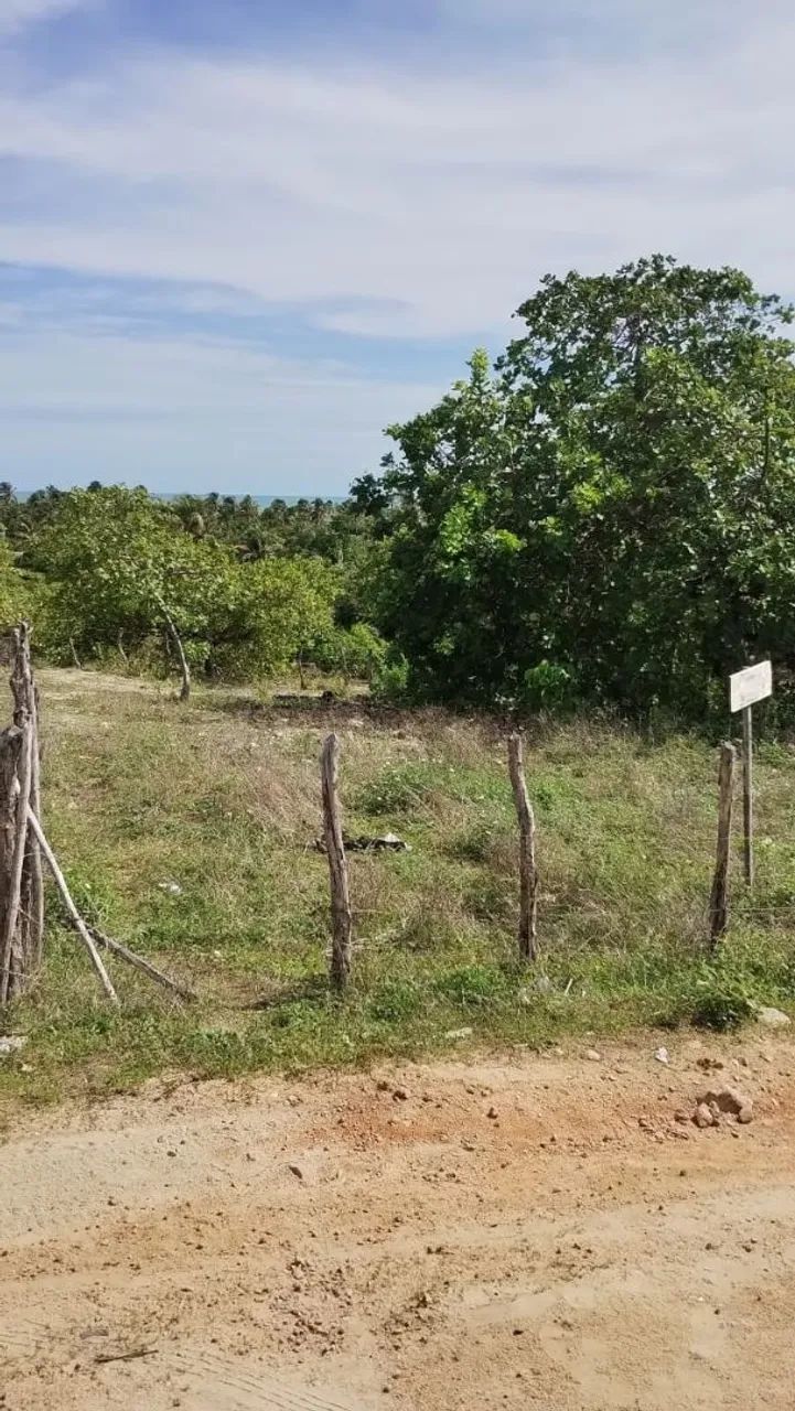 Foto - Cascavel - Caponga