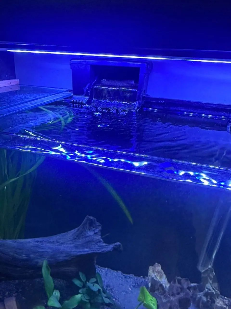 Aquário com móvel (84 litros) - Foto 3